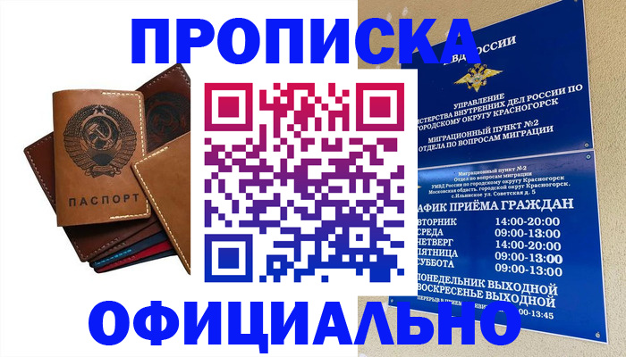 временная прописка в Болотном